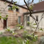 Kochstedter Wohnstuben - Wohnen Mit Naturbaustoffen In Der Bauhausstadt Lägenhet *