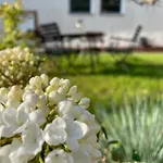 Lägenhet Kochstedter Wohnstuben - Wohnen Mit Naturbaustoffen In Der Bauhausstadt *