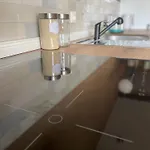 Kochstedter Wohnstuben - Wohnen Mit Naturbaustoffen In Der Bauhausstadt Apartament