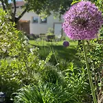 Kochstedter Wohnstuben - Wohnen Mit Naturbaustoffen In Der Bauhausstadt *