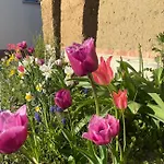 Kochstedter Wohnstuben - Wohnen Mit Naturbaustoffen In Der Bauhausstadt Apartament