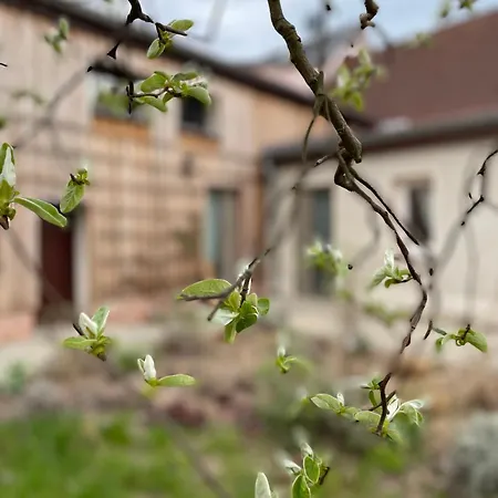 Kochstedter Wohnstuben - Wohnen Mit Naturbaustoffen In Der Bauhausstadt 아파트 *