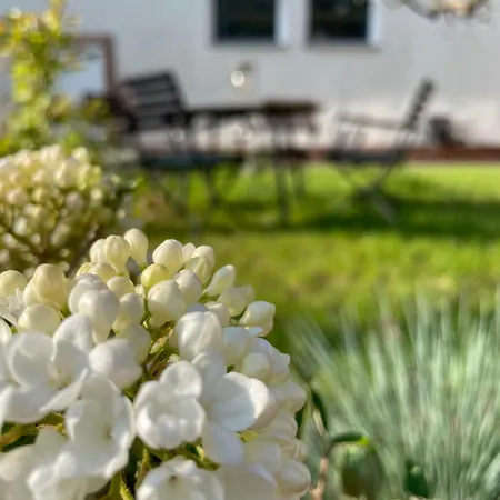 아파트 Kochstedter Wohnstuben - Wohnen Mit Naturbaustoffen In Der Bauhausstadt *