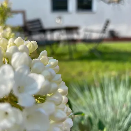 Kochstedter Wohnstuben - Wohnen Mit Naturbaustoffen In Der Bauhausstadt *