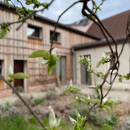 Kochstedter Wohnstuben - Wohnen Mit Naturbaustoffen In Der Bauhausstadt * Dessau-Rosslau