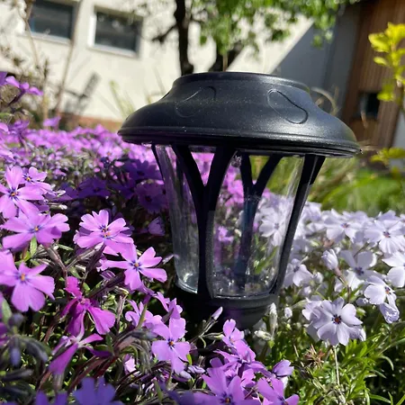 Kochstedter Wohnstuben - Wohnen Mit Naturbaustoffen In Der Bauhausstadt * Dessau-Rosslau