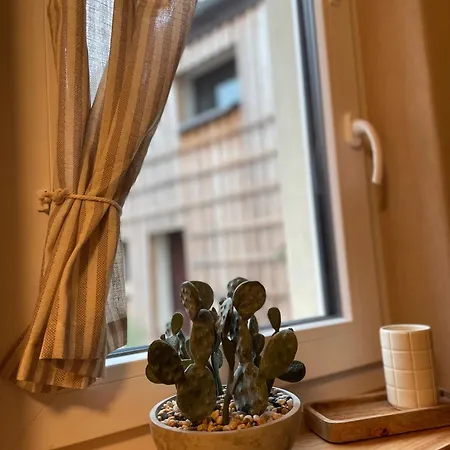 Kochstedter Wohnstuben - Wohnen Mit Naturbaustoffen In Der Bauhausstadt 아파트 Dessau-Rosslau