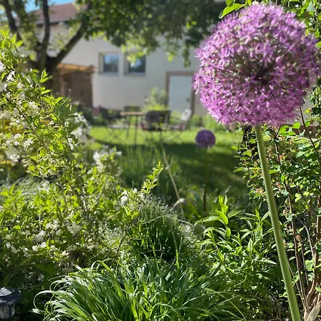 Kochstedter Wohnstuben - Wohnen Mit Naturbaustoffen In Der Bauhausstadt *