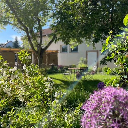 Kochstedter Wohnstuben - Mit Naturbaustoffen In Der Bauhausstadt - Hundefreundlich - Ebenerdig - Mit Garten - Parkplatz Inklusive Dessau-Rosslau