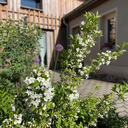 Kochstedter Wohnstuben - Wohnen Mit Naturbaustoffen In Der Bauhausstadt *