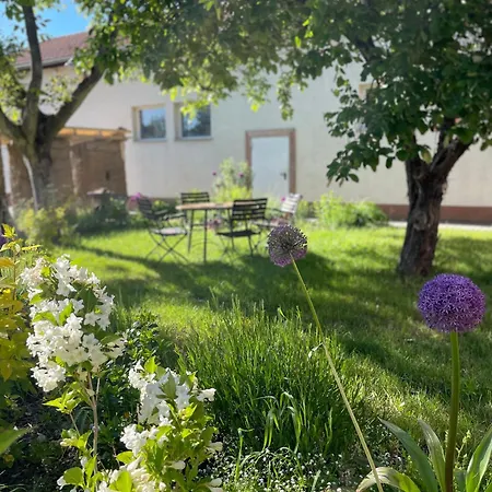 아파트 Kochstedter Wohnstuben - Wohnen Mit Naturbaustoffen In Der Bauhausstadt