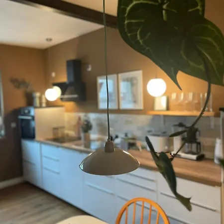 Daire Kochstedter Wohnstuben - Wohnen Mit Naturbaustoffen In Der Bauhausstadt Dessau-Rosslau