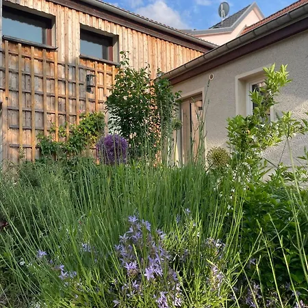Kochstedter Wohnstuben - Mit Naturbaustoffen In Der Bauhausstadt - Hundefreundlich - Ebenerdig - Mit Garten - Parkplatz Inklusive