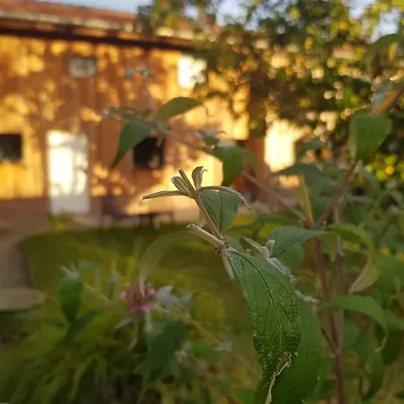 Kochstedter Wohnstuben - Wohnen Mit Naturbaustoffen In Der Bauhausstadt Daire *