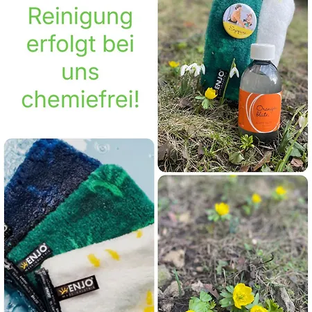 Kochstedter Wohnstuben - Mit Naturbaustoffen In Der Bauhausstadt - Hundefreundlich - Ebenerdig - Mit Garten - Parkplatz Inklusive * Dessau-Rosslau