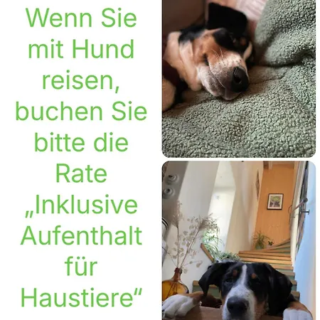 Kochstedter Wohnstuben - Mit Naturbaustoffen In Der Bauhausstadt - Hundefreundlich - Ebenerdig - Mit Garten - Parkplatz Inklusive Daire *