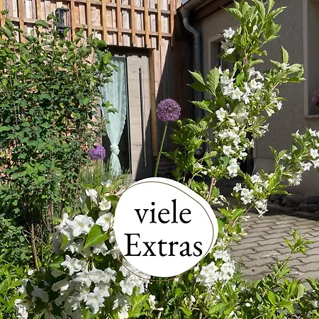 Kochstedter Wohnstuben - Mit Naturbaustoffen In Der Bauhausstadt - Hundefreundlich - Ebenerdig - Mit Garten - Parkplatz Inklusive