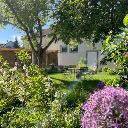 Kochstedter Wohnstuben - Mit Naturbaustoffen In Der Bauhausstadt - Hundefreundlich - Ebenerdig - Mit Garten - Parkplatz Inklusive Apartament *