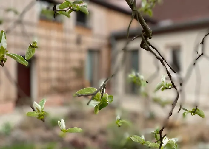 Kochstedter Wohnstuben - Wohnen Mit Naturbaustoffen In Der Bauhausstadt Apartman *