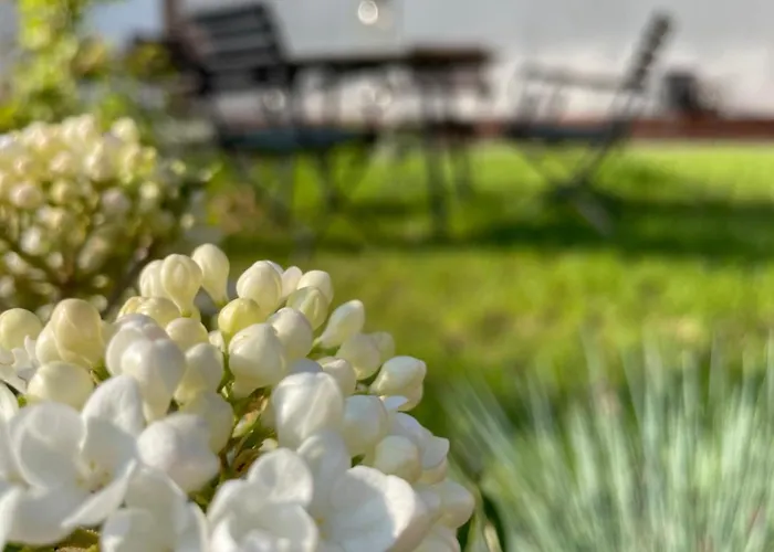 Apartman Kochstedter Wohnstuben - Wohnen Mit Naturbaustoffen In Der Bauhausstadt *