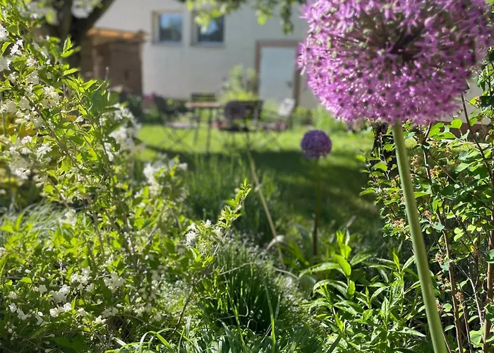 Kochstedter Wohnstuben - Wohnen Mit Naturbaustoffen In Der Bauhausstadt *