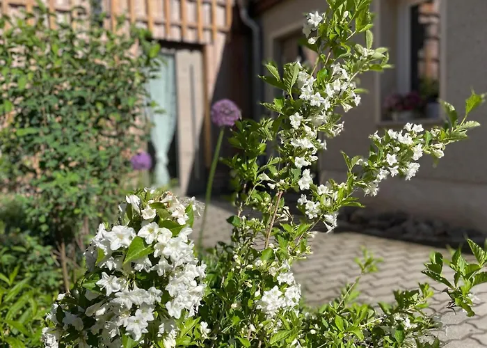 Kochstedter Wohnstuben - Wohnen Mit Naturbaustoffen In Der Bauhausstadt *