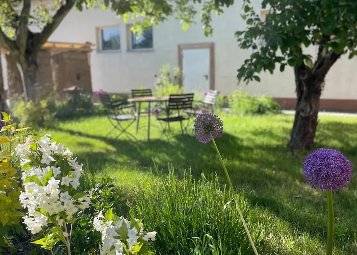 아파트 Kochstedter Wohnstuben - Wohnen Mit Naturbaustoffen In Der Bauhausstadt
