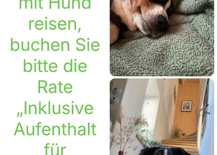 Kochstedter Wohnstuben - Wohnen Mit Naturbaustoffen In Der Bauhausstadt 아파트 *